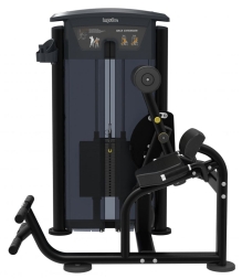 Разгибание спины Impulse IT9532, фото 3