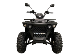 Квадроцикл LINHAI-YAMAHA M170, фото 8
