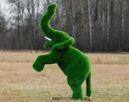 Топиари Слоник на дыбах газон Premium, фото 2