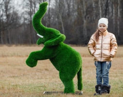 Топиари Слоник на дыбах газон Premium, фото 4