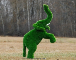 Топиари Слоник на дыбах газон Premium, фото 6