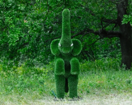 Топиари Слоник на дыбах газон Premium, фото 9