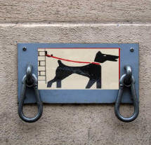 Настенная парковка для двух собак