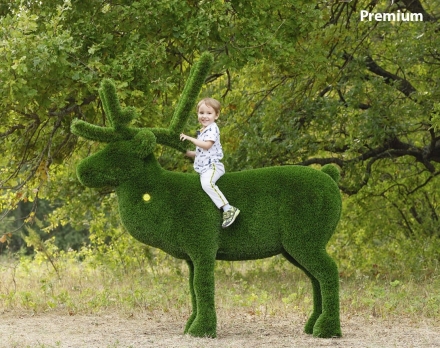 Топиари олень Норди I - газон Premium, фото 5