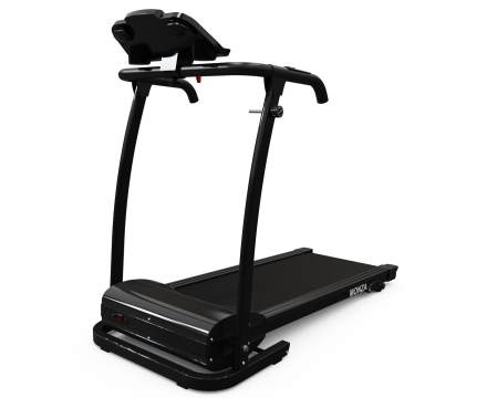 Беговая дорожка DFC MONZA T125, фото 2