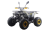 Квадроцикл MOTAX ATV Grizlik Premium 125cc