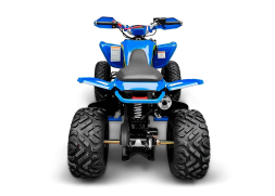 Квадроцикл RACER Typhoon 250, фото 5 Квадроцикл RACER Typhoon 250, фото 5