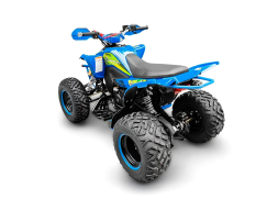 Квадроцикл RACER Typhoon 250, фото 4 Квадроцикл RACER Typhoon 250, фото 4