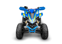 Квадроцикл RACER Typhoon 250, фото 2 Квадроцикл RACER Typhoon 250, фото 2