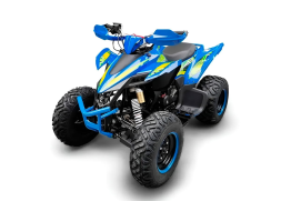 Квадроцикл RACER Typhoon 250, фото 1 Квадроцикл RACER Typhoon 250, фото 1