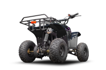 Квадроцикл RAPTOR 150 Universal