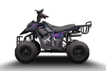 Квадроцикл RAPTOR 150 Universal
