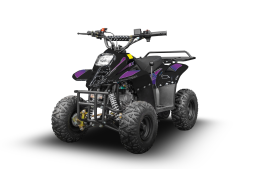 Квадроцикл RAPTOR 150 Universal, фото 1