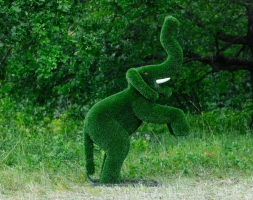 Топиари Слоник на дыбах газон Deluxe, фото 2