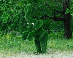 Топиари Слоник на дыбах газон Deluxe, фото 6