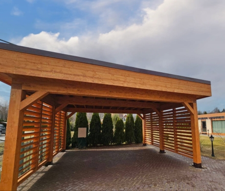 Навес односкатный МОНСОН Премиум комплектация, фото 2