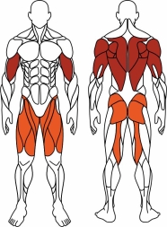 Жим ногами + жим от груди (серый) - Уличный тренажер - СТ 037-13, фото 6