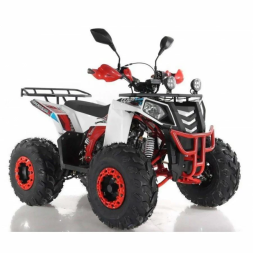 Квадроцикл WELS EVO ST, фото 2