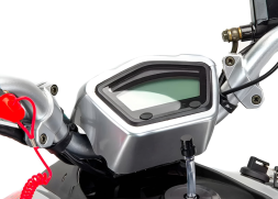 Квадроцикл MOTOLAND RALLY 250, фото 7 Квадроцикл MOTOLAND RALLY 250, фото 7