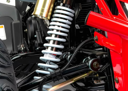 Квадроцикл MOTOLAND RALLY 250, фото 6 Квадроцикл MOTOLAND RALLY 250, фото 6