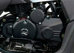 Квадроцикл MOTOLAND RALLY 250, фото 5 Квадроцикл MOTOLAND RALLY 250, фото 5