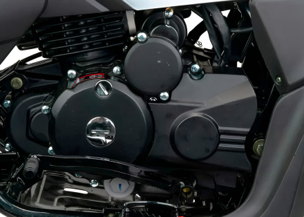 Квадроцикл MOTOLAND RALLY 250, фото 5