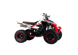 Квадроцикл MOTOLAND RALLY 250, фото 4 Квадроцикл MOTOLAND RALLY 250, фото 4