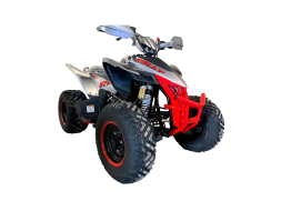 Квадроцикл MOTOLAND RALLY 250, фото 3 Квадроцикл MOTOLAND RALLY 250, фото 3