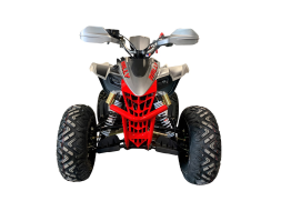 Квадроцикл MOTOLAND RALLY 250, фото 2 Квадроцикл MOTOLAND RALLY 250, фото 2