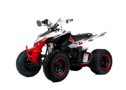 Квадроцикл MOTOLAND RALLY 250, фото 1 Квадроцикл MOTOLAND RALLY 250, фото 1