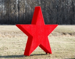 Топиари Звезда - газон Eco, фото 1