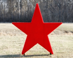 Топиари Звезда - газон Eco, фото 2