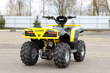 Квадроцикл IRBIS ATV 125 Квадроцикл IRBIS ATV 125