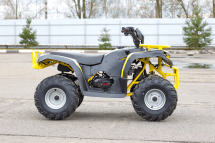 Квадроцикл IRBIS ATV 125 Квадроцикл IRBIS ATV 125