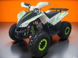 Квадроцикл МОТОМИР SPORTY 125, фото 5 Квадроцикл МОТОМИР SPORTY 125, фото 5