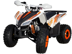 Квадроцикл МОТОМИР SPORTY 125, фото 1 Квадроцикл МОТОМИР SPORTY 125, фото 1