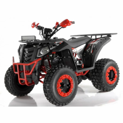 Квадроцикл WELS EVO X2, фото 4