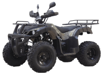 Квадроцикл UNIVERSAL Avenger JR 200