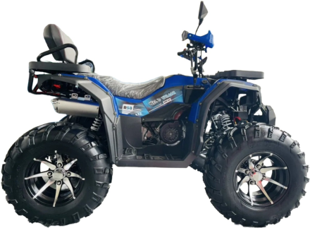 Квадроцикл MOTOLAND 300 Wild Track LUX, фото 4