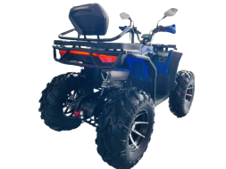 Квадроцикл MOTOLAND 300 Wild Track LUX, фото 3 Квадроцикл MOTOLAND 300 Wild Track LUX, фото 3