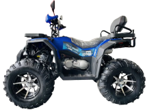 Квадроцикл MOTOLAND 300 Wild Track LUX Квадроцикл MOTOLAND 300 Wild Track LUX