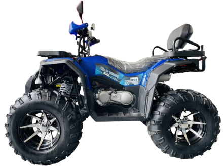 Квадроцикл MOTOLAND 300 Wild Track LUX, фото 2