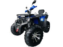 Квадроцикл MOTOLAND 300 Wild Track LUX Квадроцикл MOTOLAND 300 Wild Track LUX