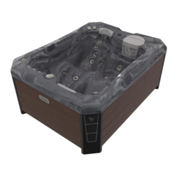 спа-бассейн Wellis Manhattan, фото 9 спа-бассейн Wellis Manhattan, фото 9