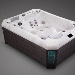 спа-бассейн Wellis Manhattan, фото 3 спа-бассейн Wellis Manhattan, фото 3