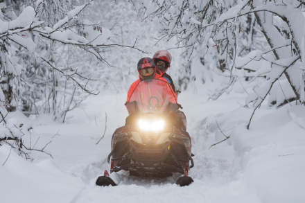 Снегоход AODES Snowcross 1000 WT LTS, фото 10