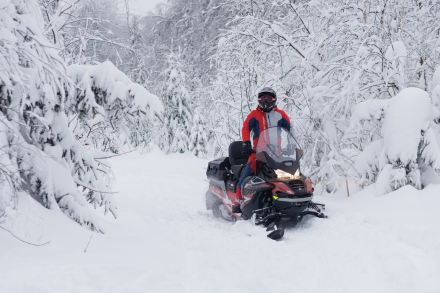 Снегоход AODES Snowcross 1000 WT LTS, фото 9