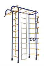 Детский спортивный комплекс Пионер 2М сине/жёлтый