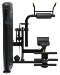 Тренажер Пресс / Разгибание спины Impulse IT9534, фото 2