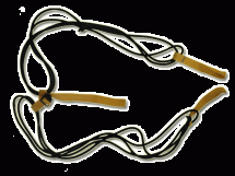 Эспандер Лыжника - Боксёра "Профи" Эспандер Лыжника - Боксёра "Профи"